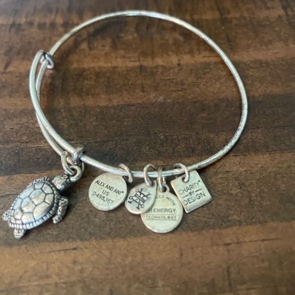 Sea Turtle Charm Bangle in Rafaelian Silver - Picture 6 of 6